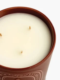 DIPTYQUE Ambre candela Best