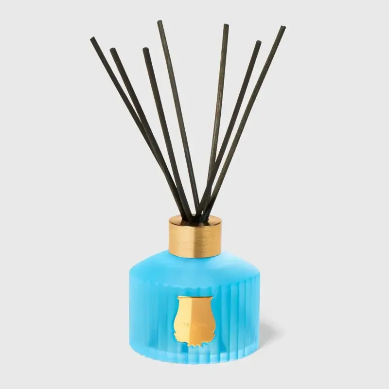 TRUDON Les Diffuseur Versailles Sale