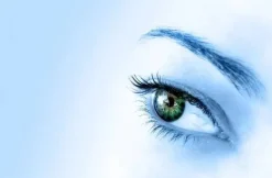 Miriam Bay Eye mask 30 ml Online
