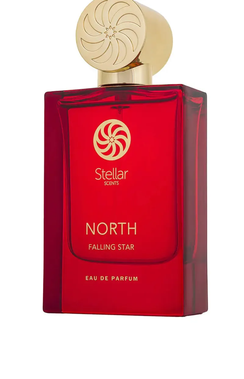 STELLAR North Falling Star Outlet