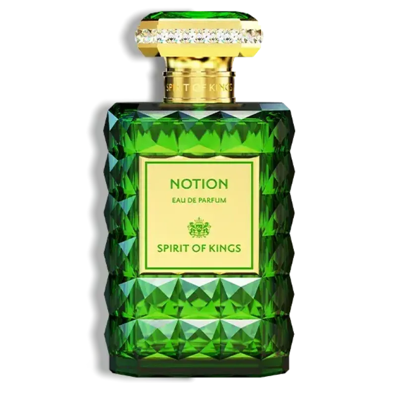 SPIRIT OF KINGS Notion Discount