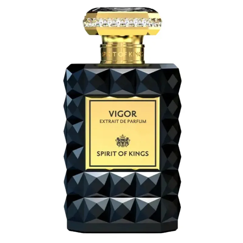 SPIRIT OF KINGS Vigor Online